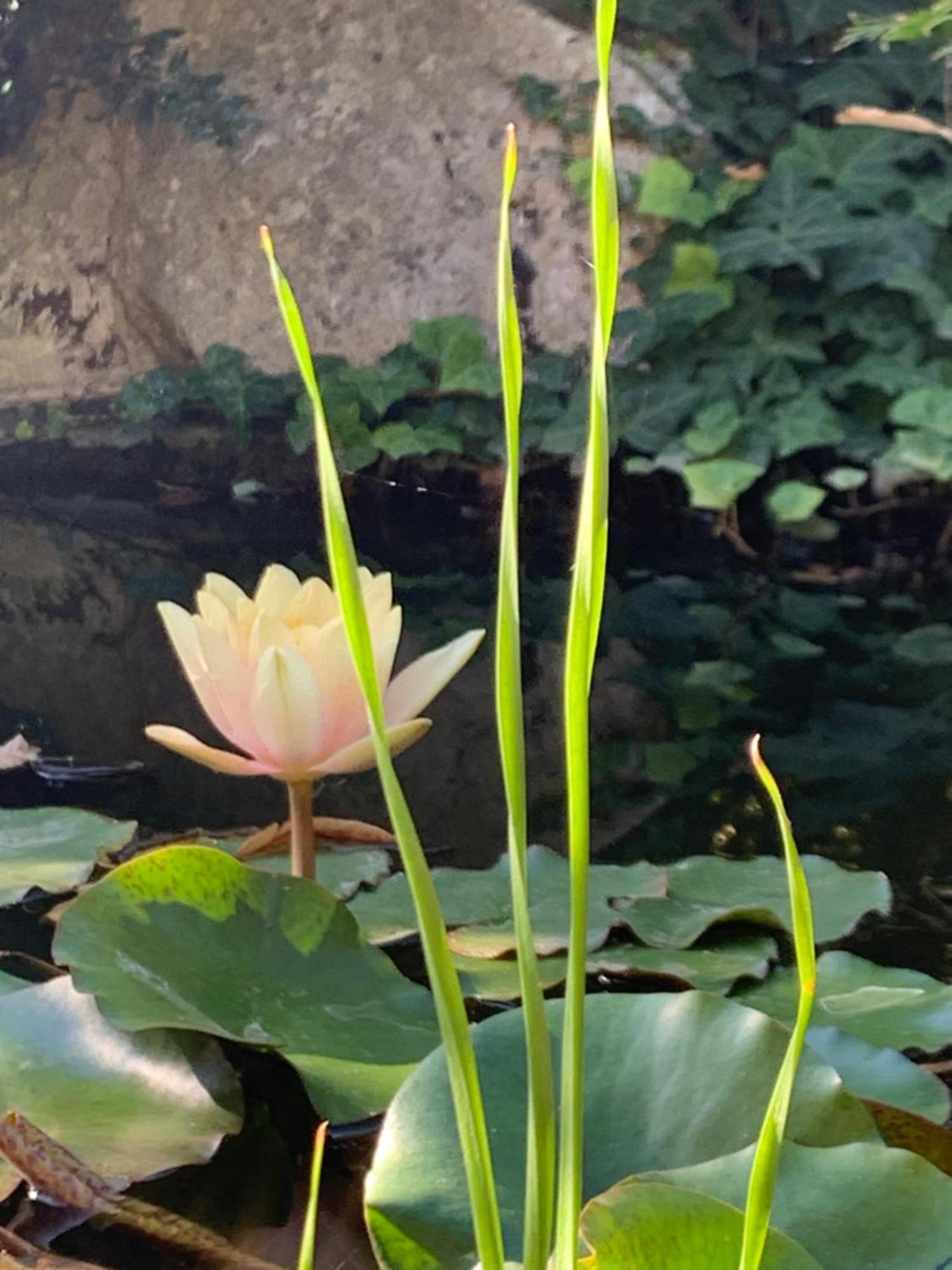B&B Beauty House Cesena Ngoại thất bức ảnh